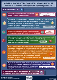 GDPR Principles Infograph