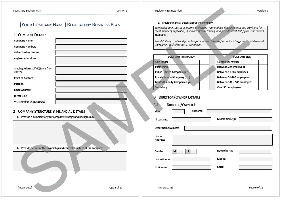 fca business plan summary