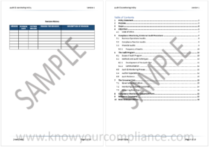 Audit & Monitoring Policy Sample 1