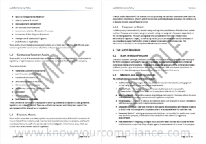 Audit & Monitoring Policy Sample 3