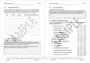 Regulatory Business Plan Sample 2