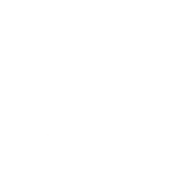 UK GDPR Icon