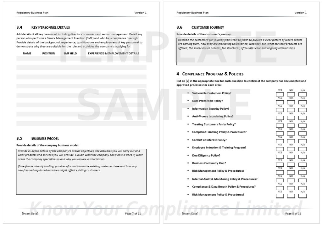Word sample image of the Regulatory Business Plan Template