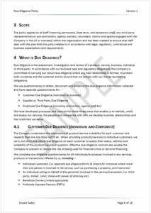 Due Diligence Policy Sample 5