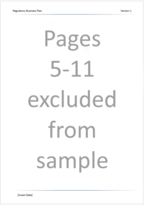 FCA Regulatory Business Plan Sample 6