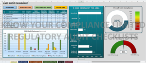 CASS Checklist Dashboard Sample